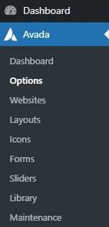 how to get to Avada theme options