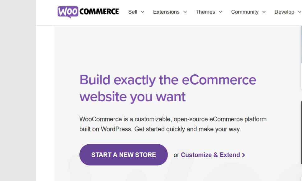 Woocommerce an e-commerce plugin for WordPress
